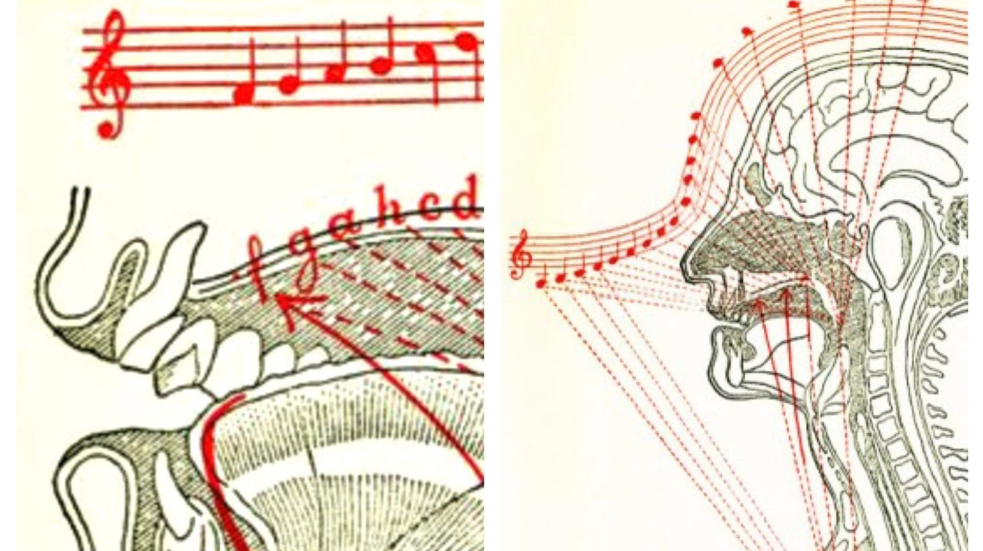 The Ideal of Sound: Organic Evolution, Material Science, and the Dialectic of Power in the Violin Family