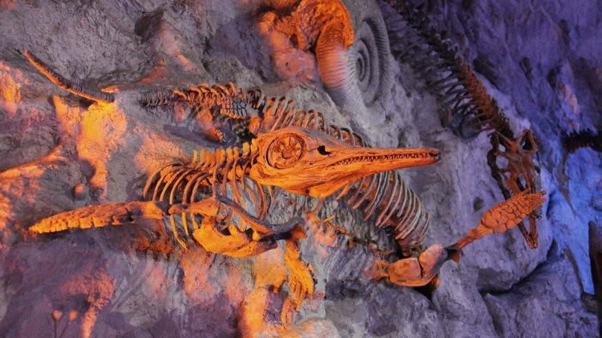 Death and The Violin