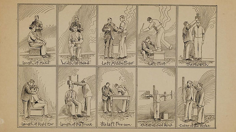 The Bow as a Human Tool: Ergonomics, Biometry, and the Unfinished Modernization of Violin and Cello Bows