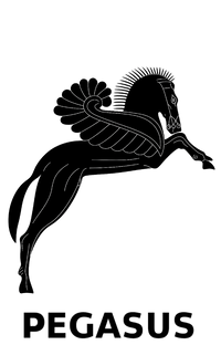 Pegasus Bows