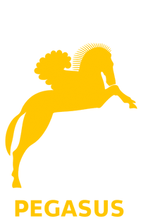 Pegasus Bows