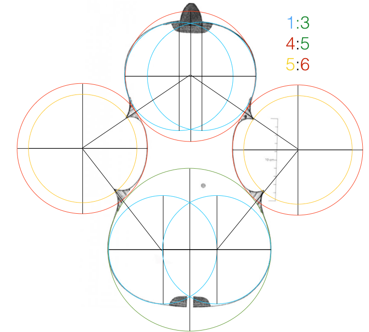 The Secret Written Into Your Cello’s Silhouette