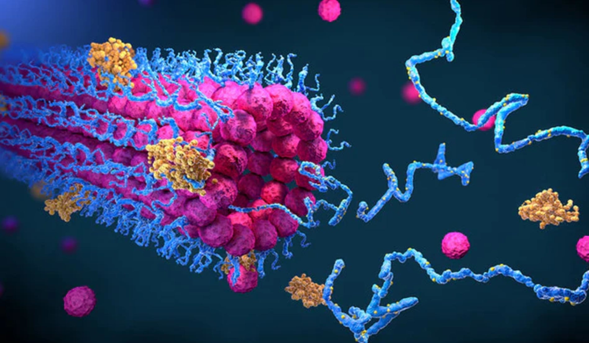 Protein Folding, Creative Evolution, and the Future of the Violin